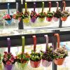 1.8lbs Colorful Metal Hanging Flower Pots with Drainage Hole